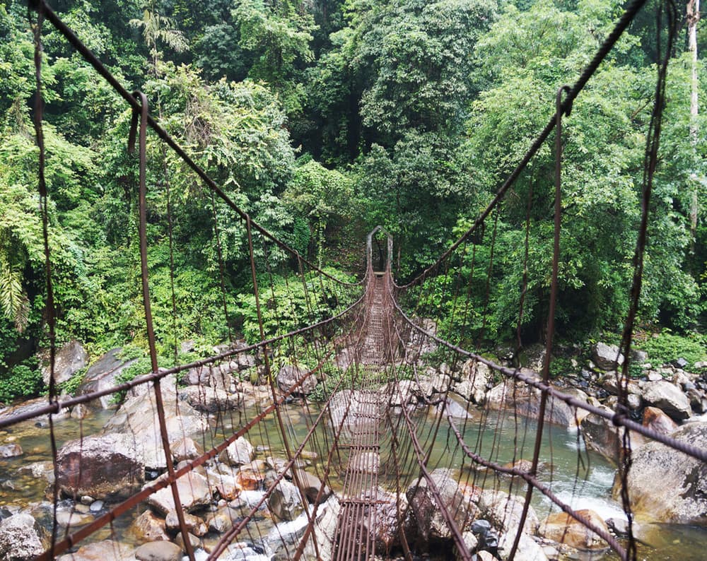 El bosque es realmente un lugar sagrado para los hindúes, y se ha mantenido muy bien a lo largo de más de mil años, ya que la tala está prohibida y es considerada no sólo un tabú, sino también una ofensa a sus deidades. Hay una regla muy particular que todo visitante debe seguir: no debe existir ninguna maldad en su interior.