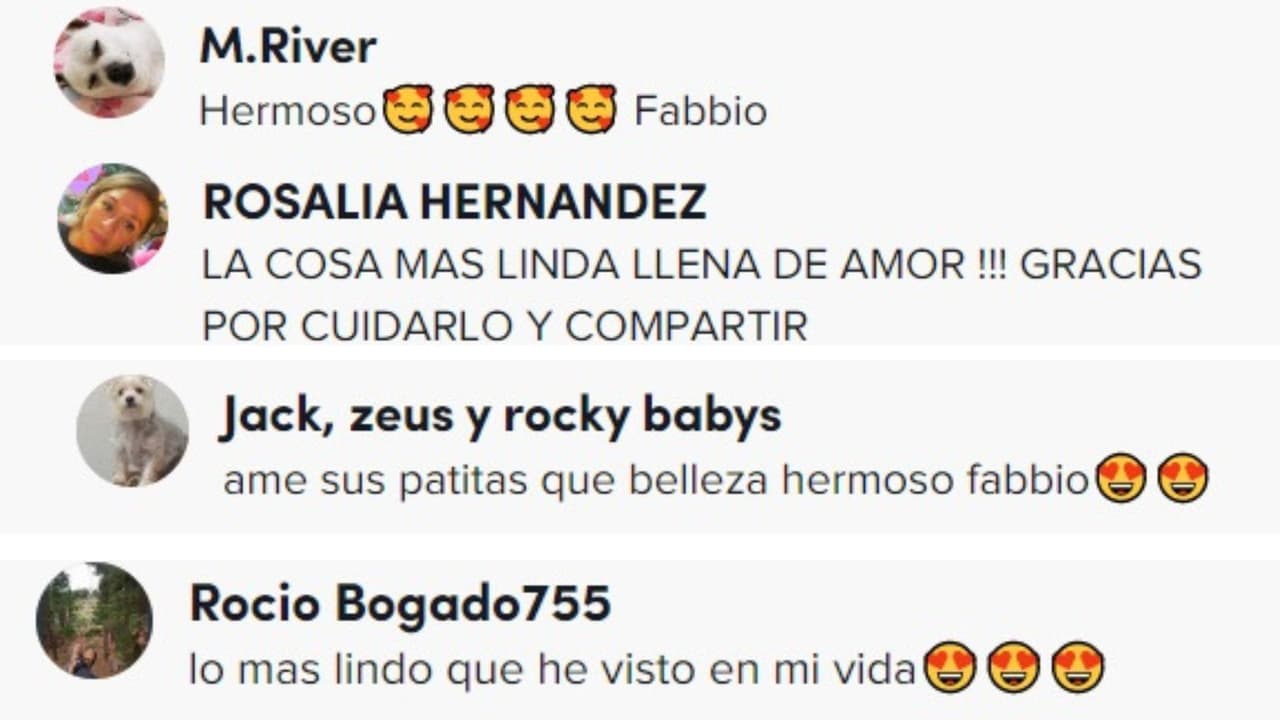 Así reaccionaron ante el can