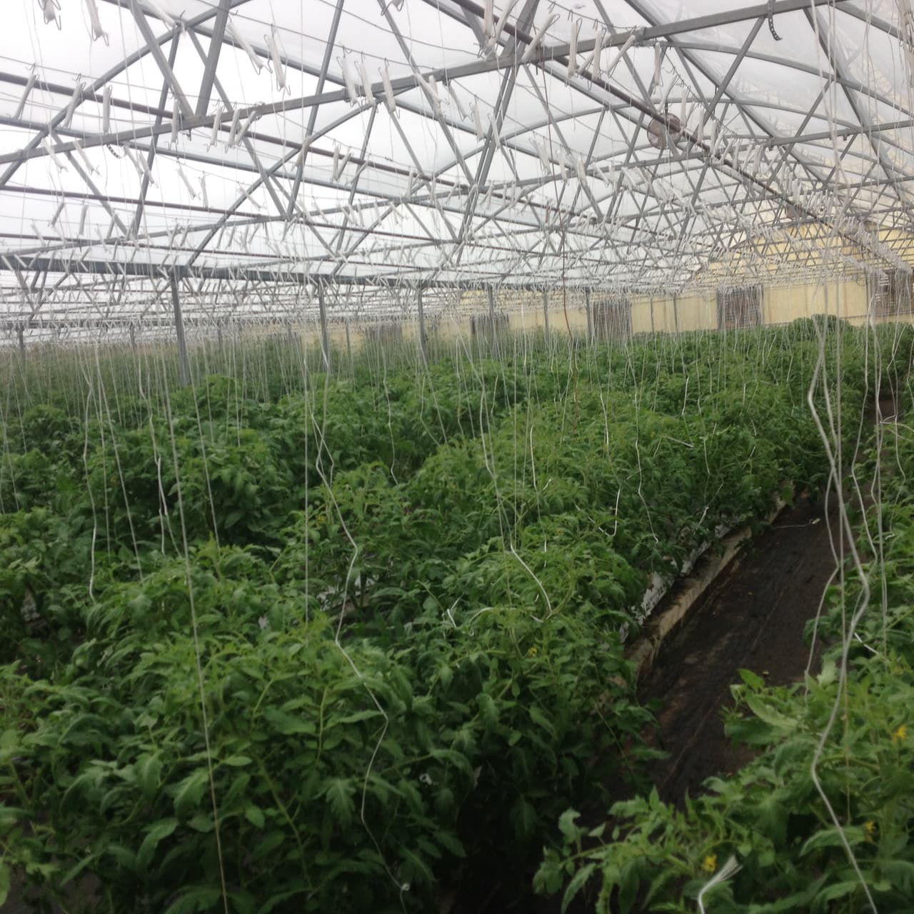 Cualquier error puede destruir toda la cosecha.