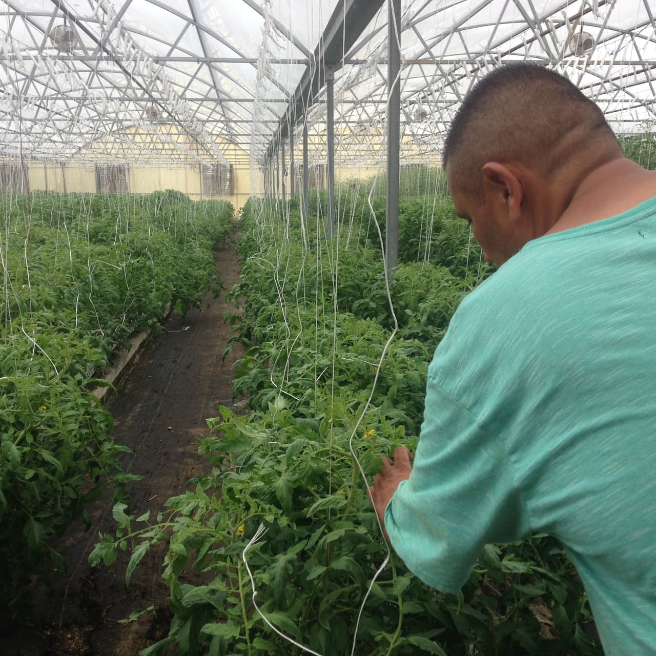 Por eso la importancia en la precisión de cada paso.