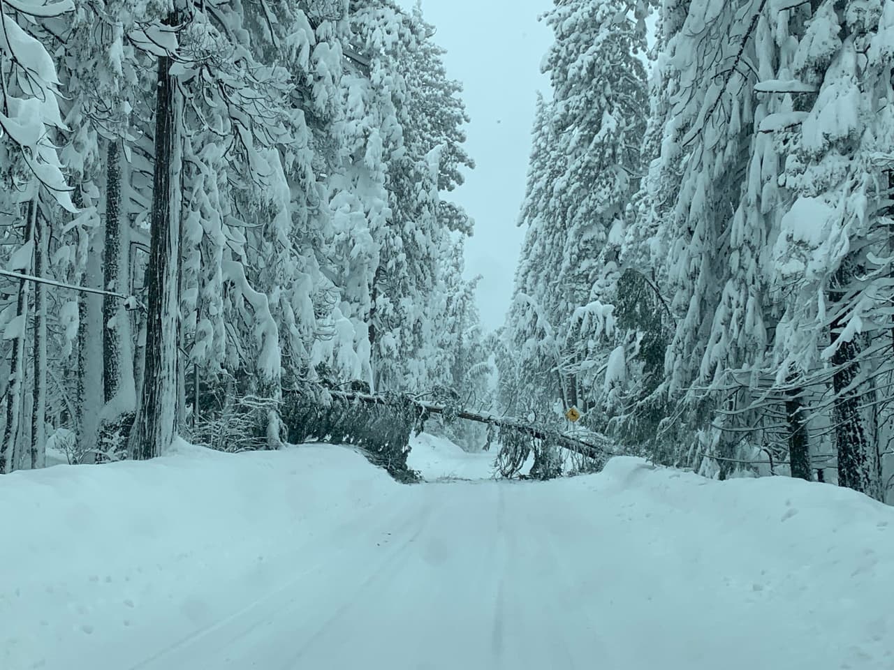 El estado de California ha tenido una temporada invernal que ha “enviado agua a nuestros reservorios estatales resecos y
<b>agregando una capa de nieve en la Sierra Nevada,</b> que está muy por encima del promedio para esta época de la temporada”, informó el DWR CA. (Imagen del Highway 20, Interestatal 80)