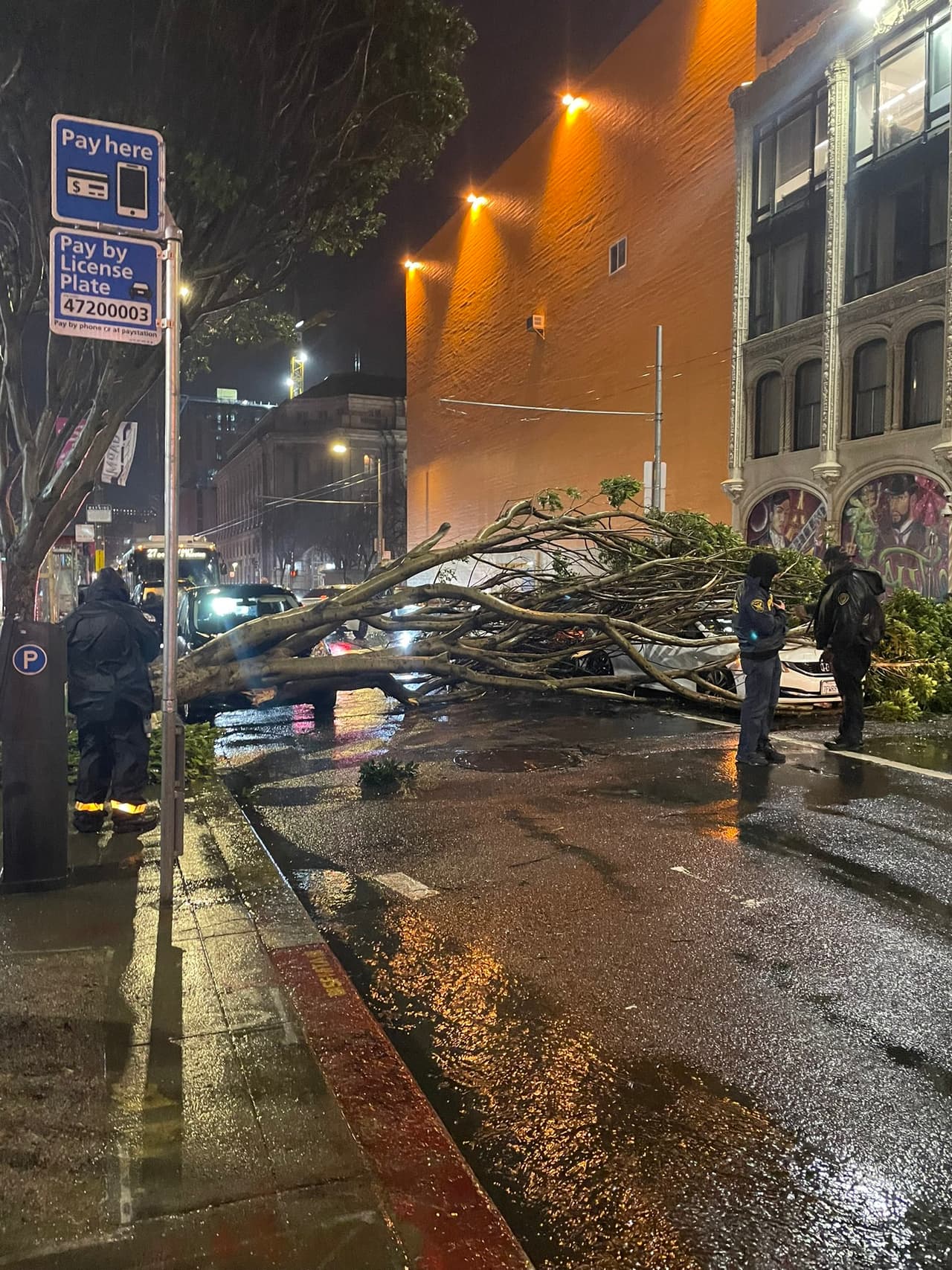Los bomberos de San Francisco lograron rescatar a una familia que había quedado atrapada dentro de su vehículo luego de que un árbol les cayera encima cerca del cruce de las calles Larkin y Grove.