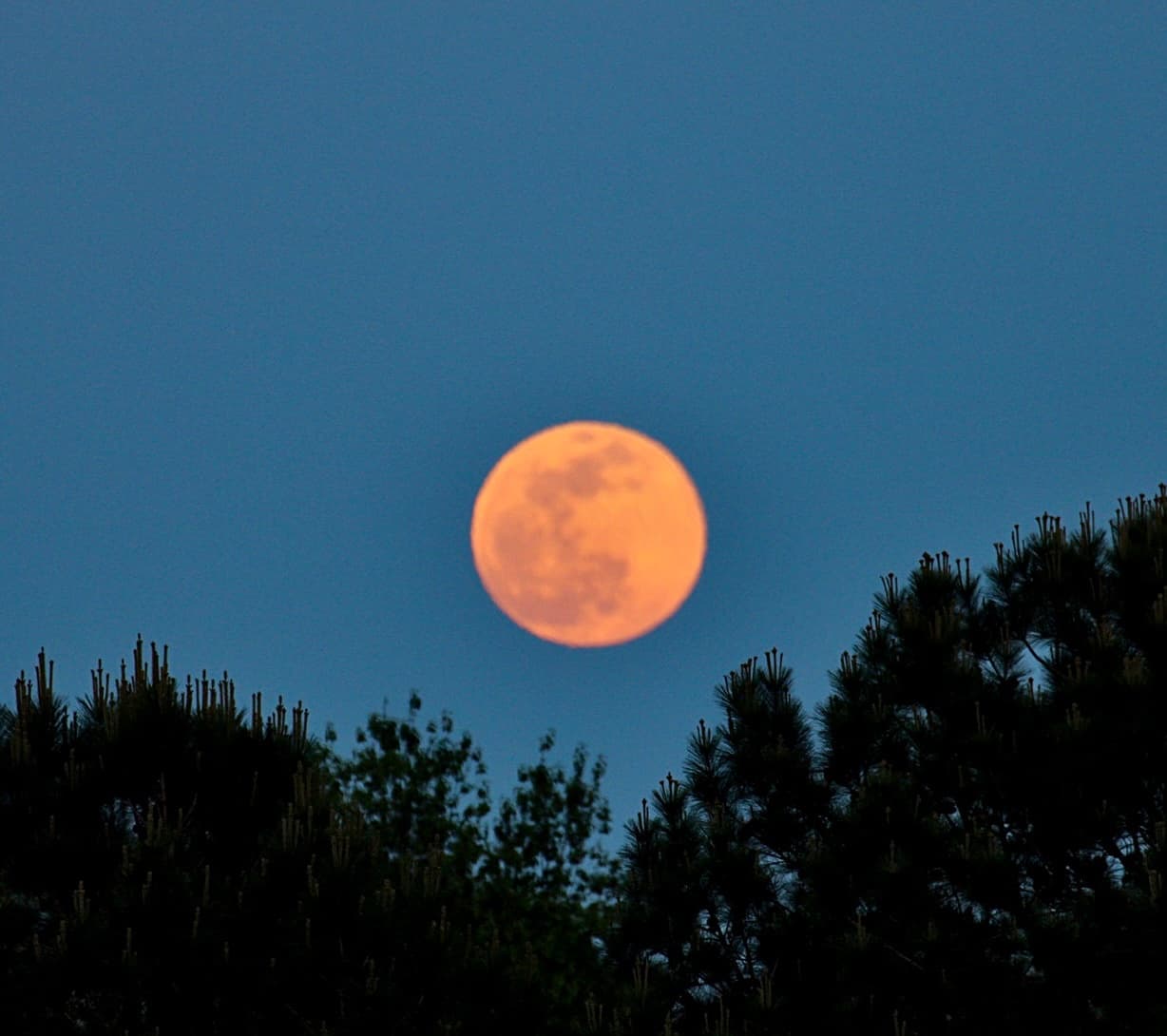 La luna llena de este lunes estuvo en el punto de la órbita más próximo al planeta tierra, viendo de esta manera la primera superluna de 2021.