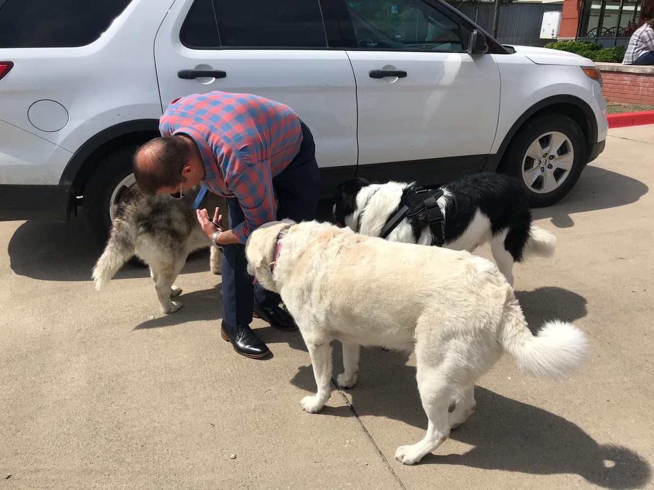 Los bomberos recomiendan que personas no se lanzen a las aguas para salvar a su mascota sino llamar a un profesional entrenado para realizar el rescate.