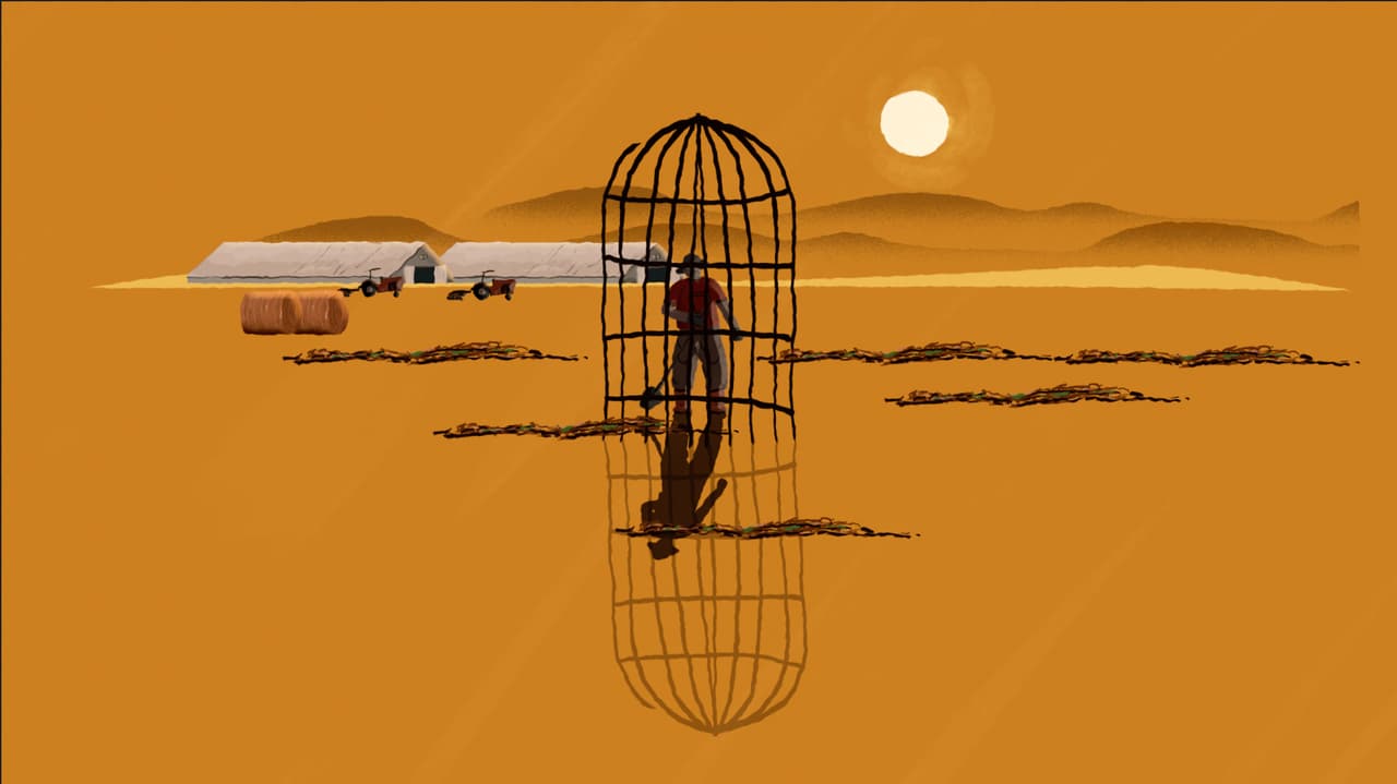 Procesadora de papas en Texas paga $1.3 millones en sueldos negados a cerca de 500 trabajadores temporales