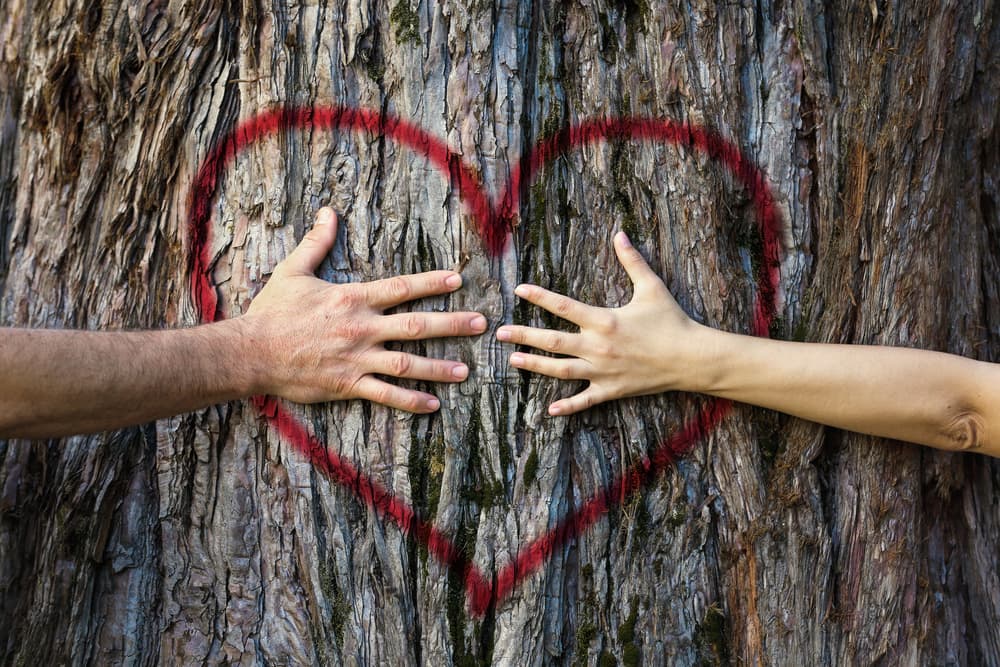 <b><u>Libra: vivirás una onda sentimental positiva</u></b>
<br>Venus tu regente está directo en Escorpión y esa dinámica se conjuga con la acción del eclipse creando un efecto único en tu signo librano estos primeros días del mes de enero. El eclipse te envuelve en una onda sentimental positiva que te ayudará a recuperar la confianza perdida por algún tipo de engaño o trastada que haya ocurrido en el pasado y que ahora se soluciona felizmente devolviendo la tranquilidad a tu vida. 
<br>