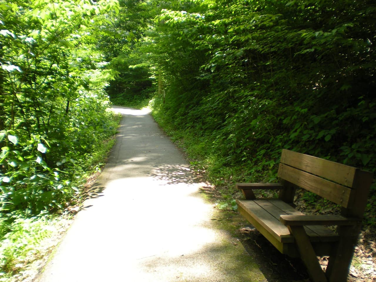 Está ubicada a sólo 45 millas al norte de Asheville y puedes seguir una de las dos rutas para llegar a la catarata de 70 pies de altura.