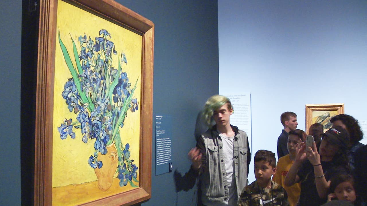 Un catálogo ilustrado del artista está disponible en la tienda del MFA y en la Biblioteca Hirsch del Museo.