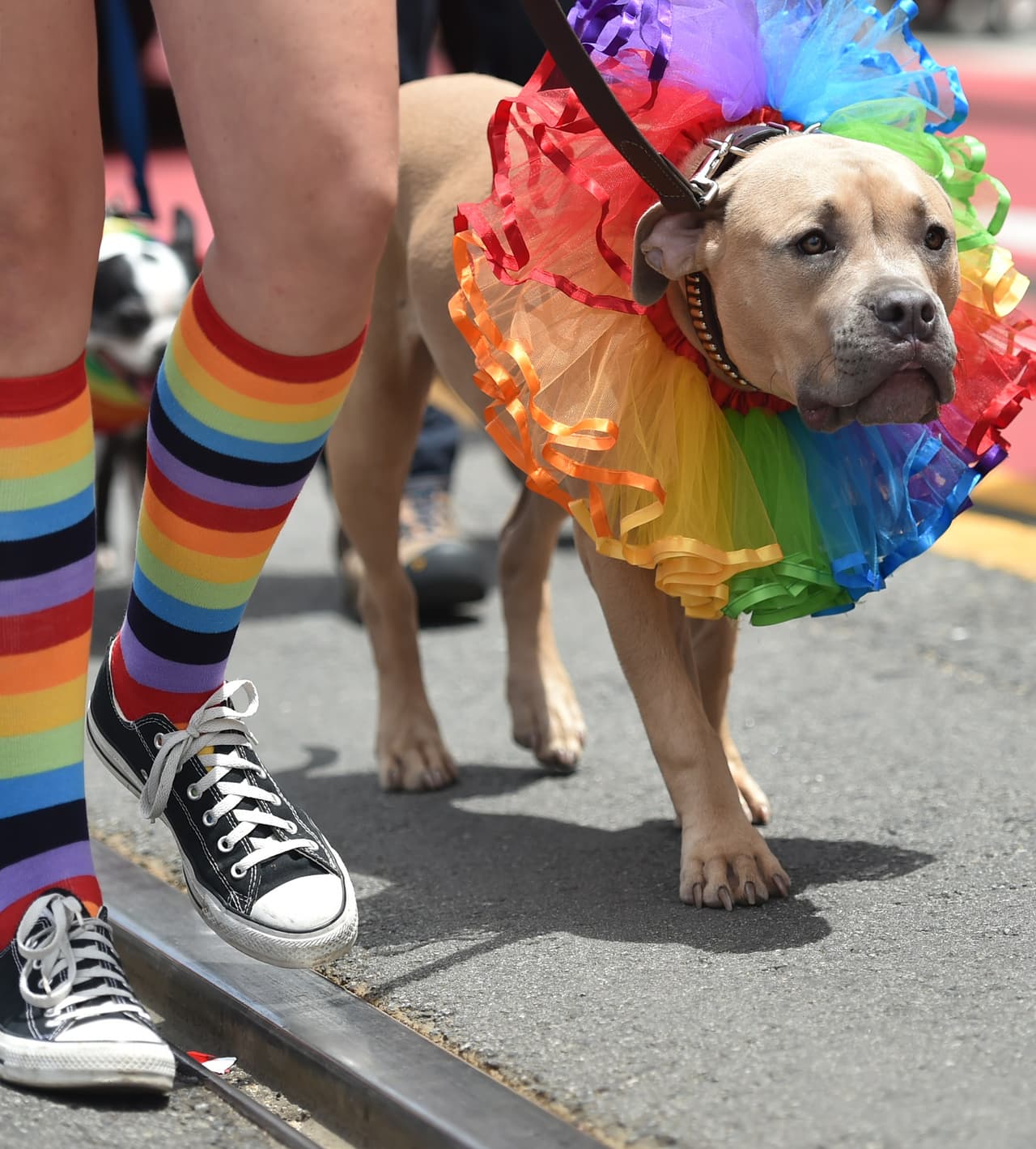 Cientos salieron a las calles de San Francisco para celebrar el Orgullo Gay.