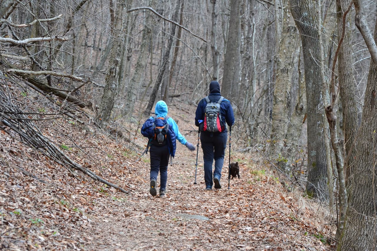 <b>Blue Ridge Parkway</b>
<br>
<b>Sitio web</b>: 
<a href="https://www.nps.gov/blri/index.htm">https://www.nps.gov/blri/index.htm</a> 
<br>
<b>Cómo llegar </b>
<br>
<br>Blue Ridge Parkway es conocida como la ruta favorita de Estados Unidos y el Parque Nacional más querido. Se extiende desde el Parque Nacional Shenandoah en Virginia hasta el Parque Nacional Great Smoky Mountains en Cherokee, Carolina del Norte, más de 70 millas de carretera atraviesan las icónicas montañas Blue Ridge del condado de Jackson.