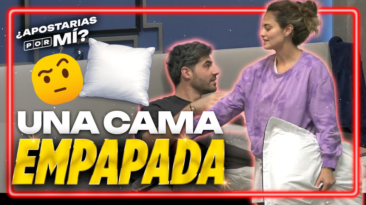 ¿Broma, sudor, pipí? El misterio de la almohada mojada en la Habitación Trébol