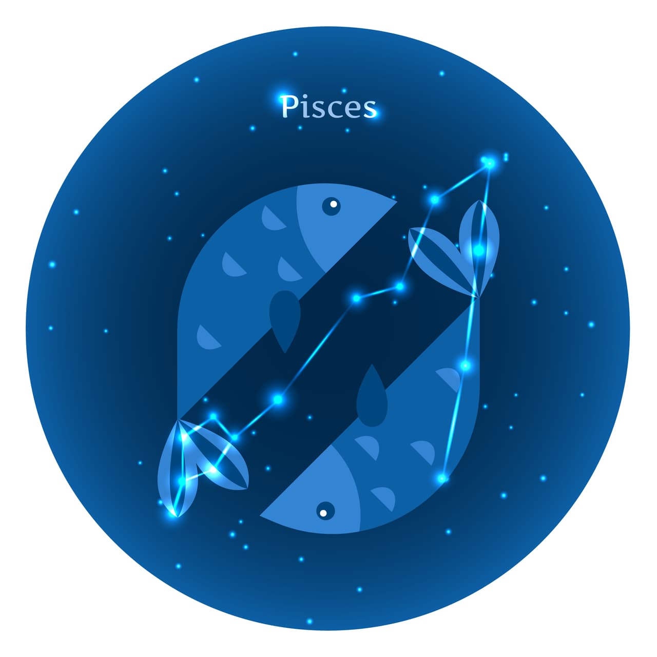 <b>PISCIS</b>
<br>
<br>Profesor Zellagro