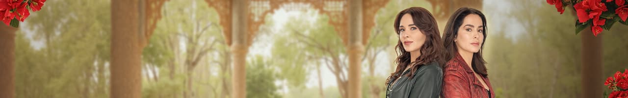 Hermanas: Un Amor Compartido