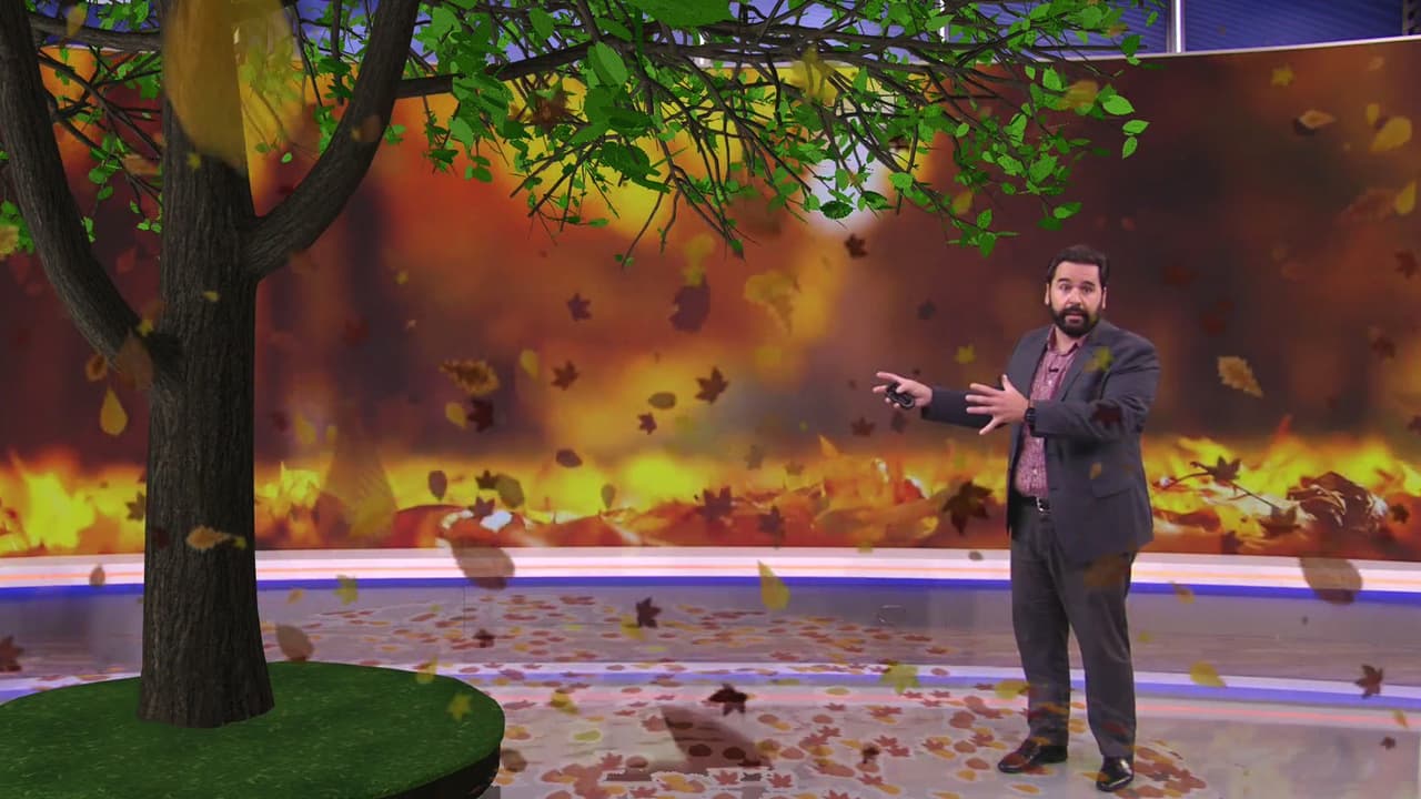 ¿Qué es lo que más gusta del otoño? Esta es la razón por la que las hojas caen y cambian de color