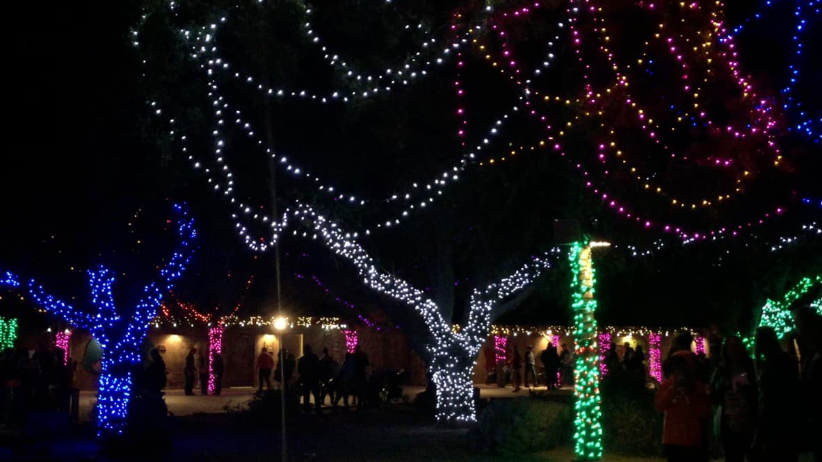 Arboles con luces de colores por todo el parque hacen sentir el ambiente de fin de año.