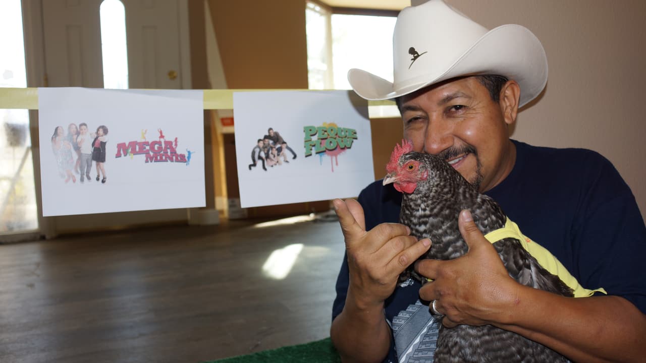 La gallina vidente de ‘El Feo’ predice el ganador de Pequeños Gigantes