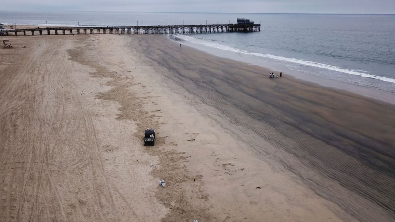 ¿Cómo puede impactar a la salud el petróleo derramado en las costas del condado de Orange?