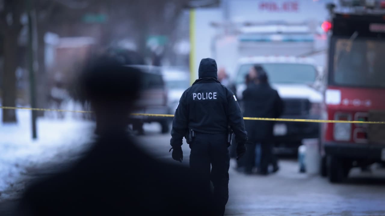 Localizan a un hombre asesinado y una venta de un perro termina en tiroteo: Fin de semana violento en Chicago deja a 14 personas baleadas y tres muertos