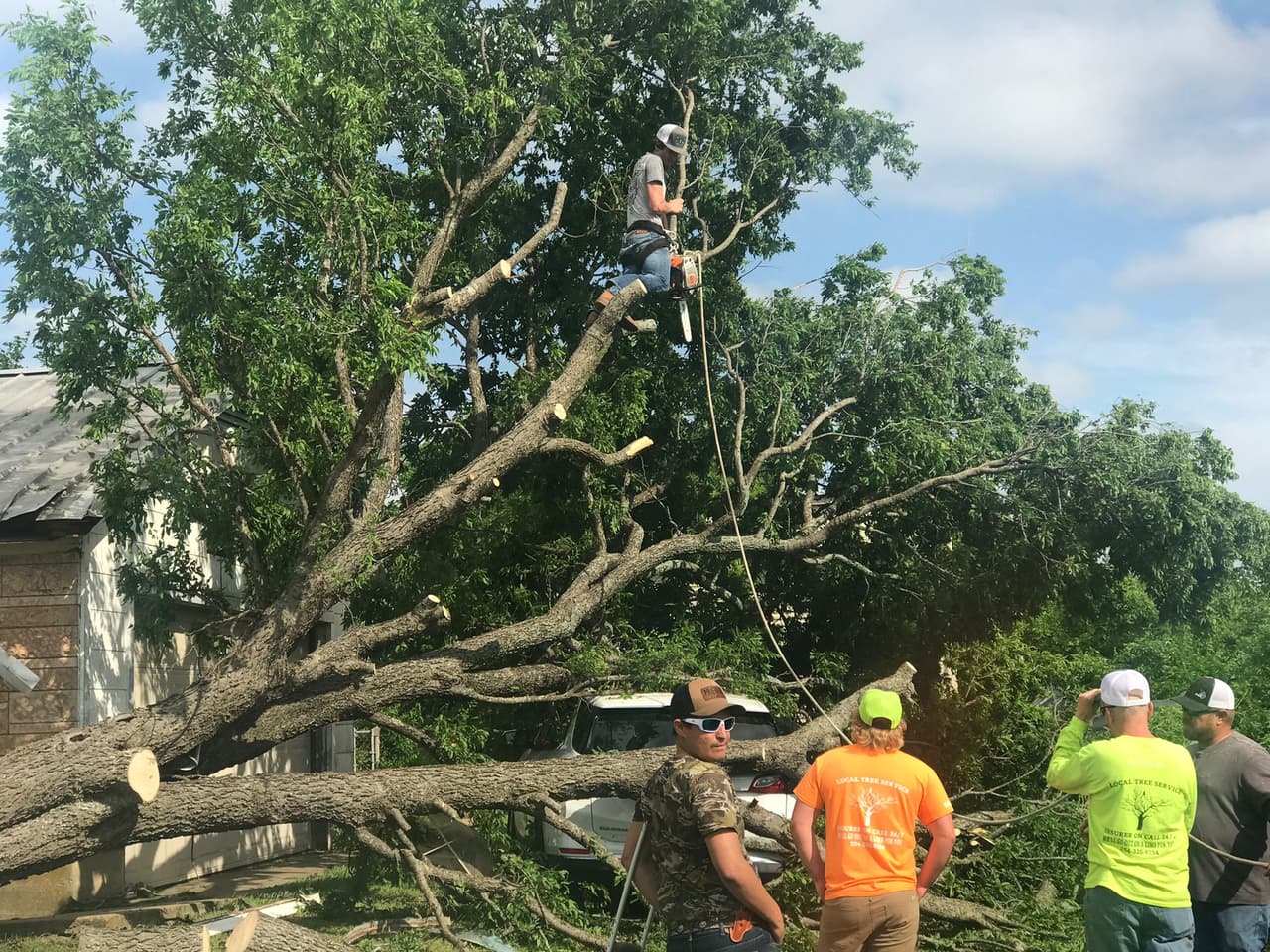 Los árboles también fueron derrumbados en la zona.