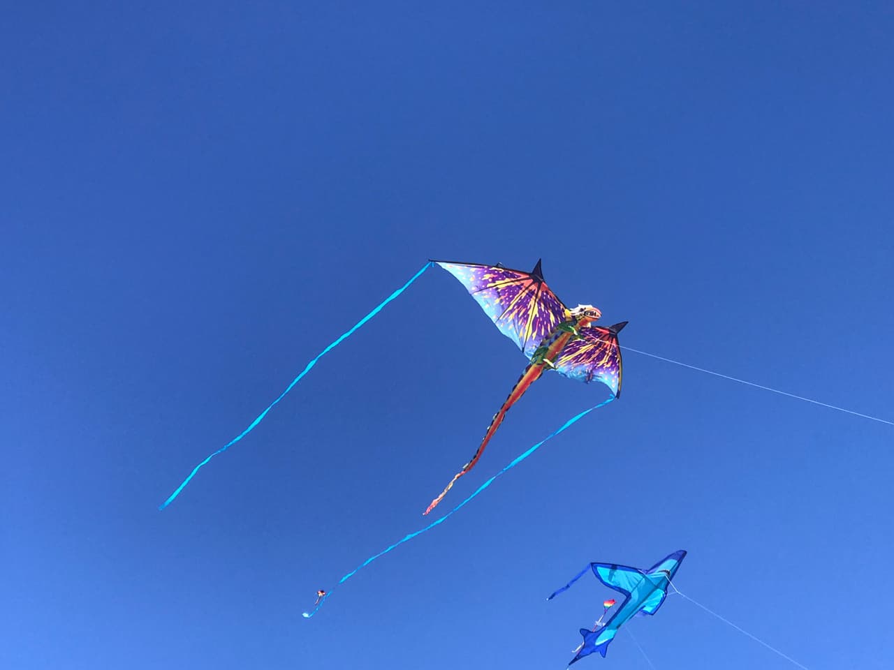 Así como tampoco las nubes que durante la jornada se fueron acercando al área para recordarles a los presentes, que las lluvias solo han dado una tregua.