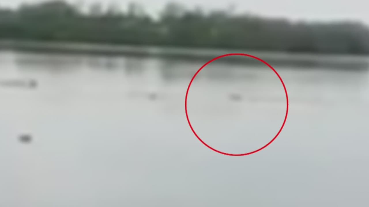 <b>Un hombre muerte devorado por un cocodrilo en una laguna.</b>
<br>
<br>Testigos aseguran que vieron al sujeto desnudarse para luego saltar al agua. Rescatistas no alcanzaron a salvarlo, pues el reptil ya lo había devorado. Ocurrió en una laguna en México en la que hay restricciones por la presencia de estos animales.