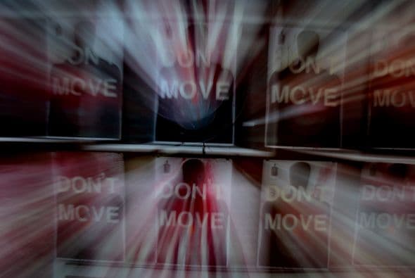 Unos ejemplos de la exposición de Ryan Piers Williams.