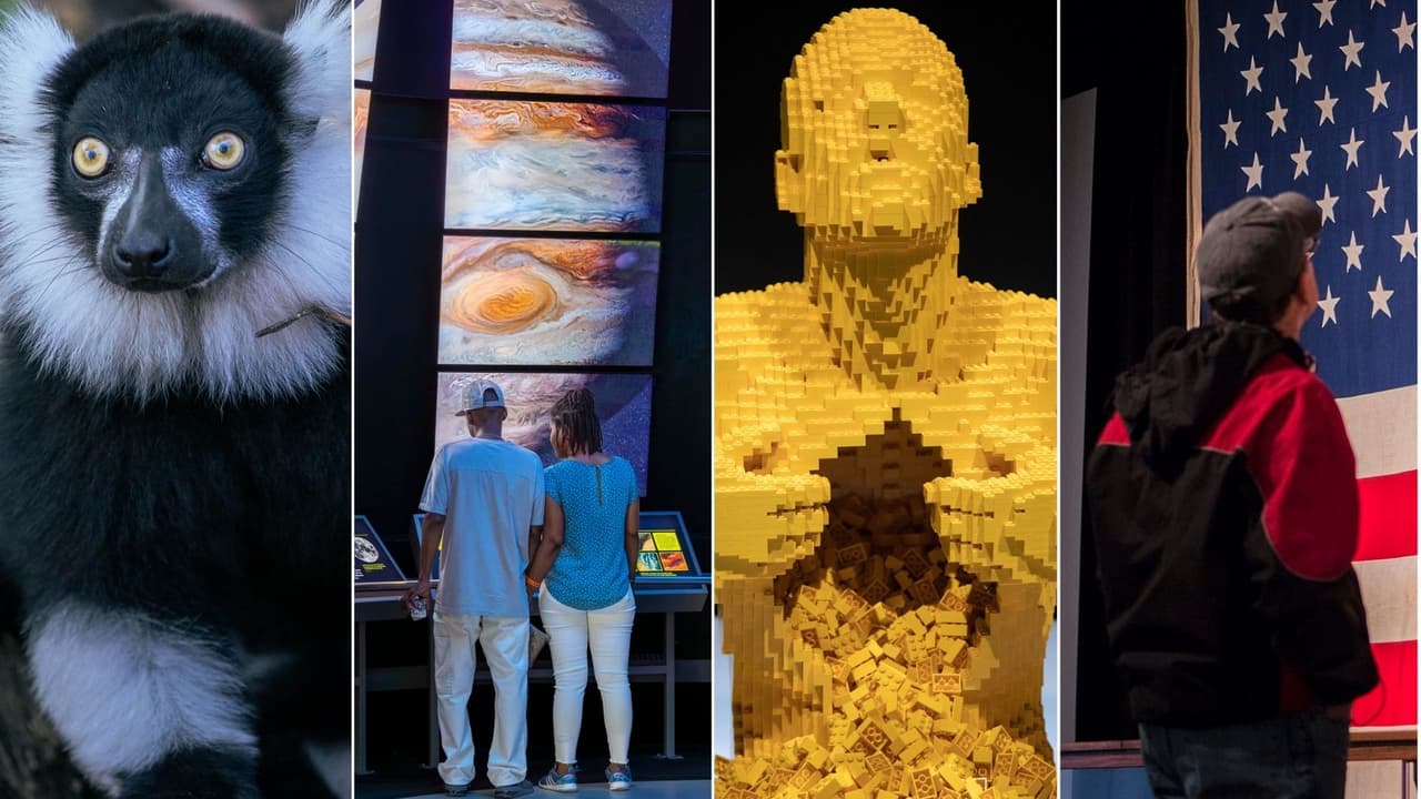 Descubre Dallas gratis: Más de 20 lugares imperdibles para adolescentes y sus acompañantes