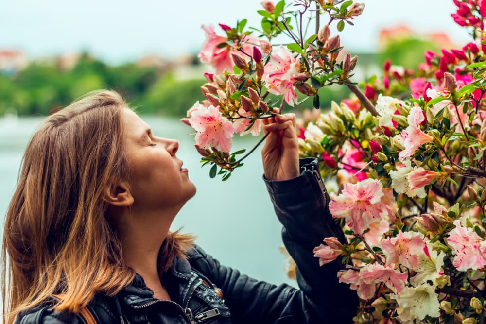 <b>GÉMINIS</b>
<br>La fragancia ideal para ellos les funcionará como una especie de aromaterapia que les invoque ciertos sentimientos o memorias. Por ejemplo, el aceite puro de rosas ya en sí es un perfume ideal para ellos.