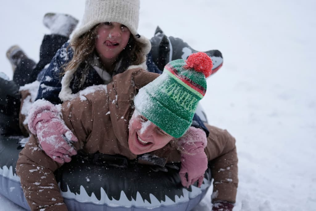 Los animales también corren riesgo de hipotermia, por lo que es importante que no se queden afuera por mucho tiempo.