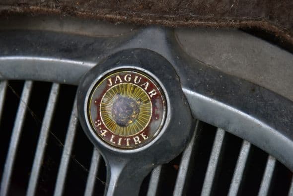 Entre los 60 autos de colección hay modelos exclusivos de marcas como Ferrari, Maserati, Porsche y Jaguar. Los autos fueron comprados entre las décadas de 1950 y 1970 por el empresario del transporte Roger Baillon, quien soñaba con restaurar su antigua colección y mostrarla en un museo. Llegó a reunir más de 100 autos pero su empresa empezó a decaer y tuvo que vender la mitad. Tras su muerte todo quedó para su hijo Jacques, quien falleció el año pasado. Los siguientes herederos, los nietos de Baillon, descubrieron el tesoro cuando fueron hasta la granja para ver su estado con intenciones de ponerla a la venta.