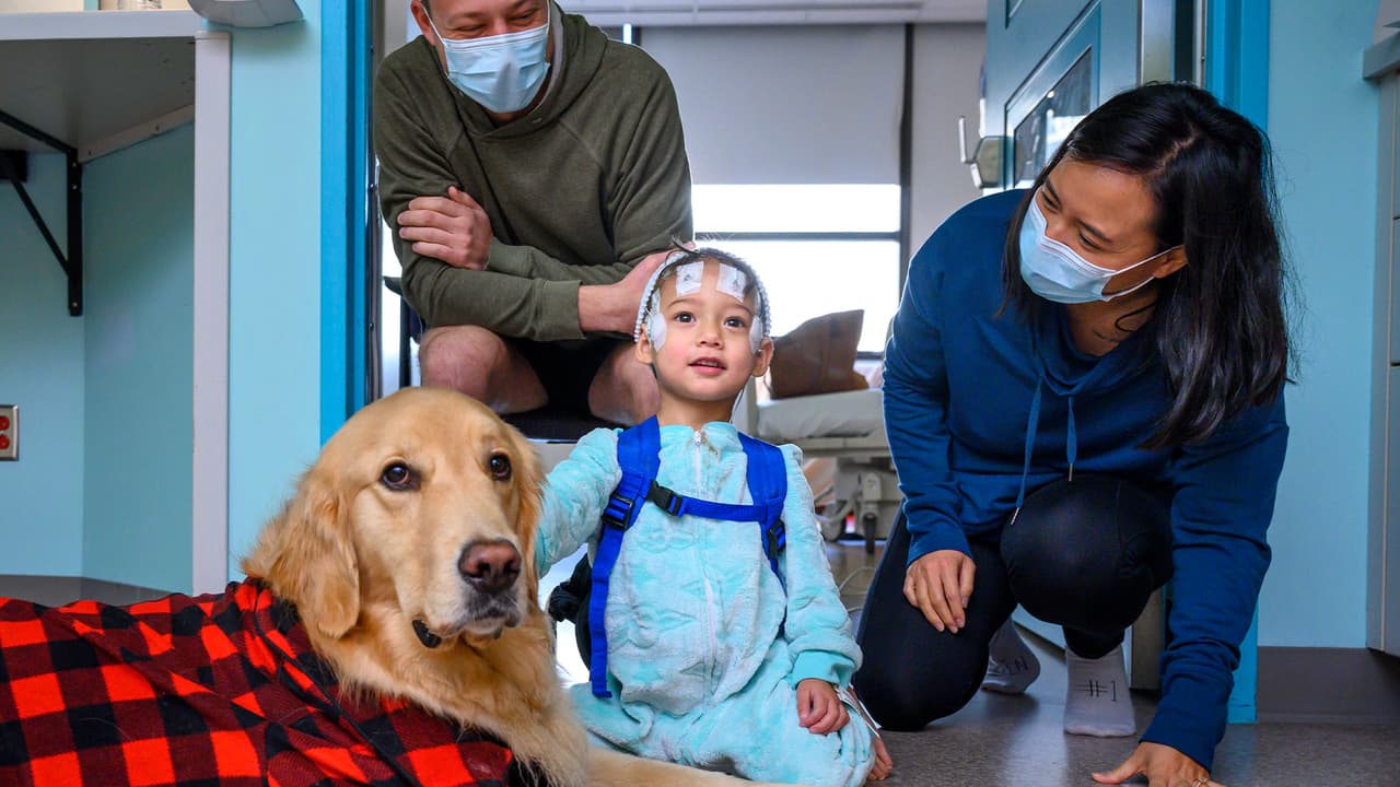 Recibieron más de un año y medio de entrenamiento antes de comenzar sus funciones en el 
<a href="https://www.univision.com/local/houston-kxln/los-houston-texans-visitaron-hospital-infantil-fotos">Texas Children's Hospital. </a>