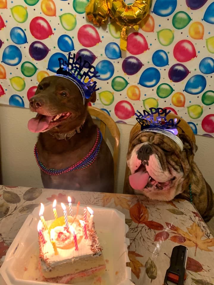 Con estas pequeñas mascotas hay que invertir tiempo, dinero y esfuerzo para que cuando crezcan se conviertan en algo más que una simple compañía y se les pueda considerar como el mejor amigo.
<br>