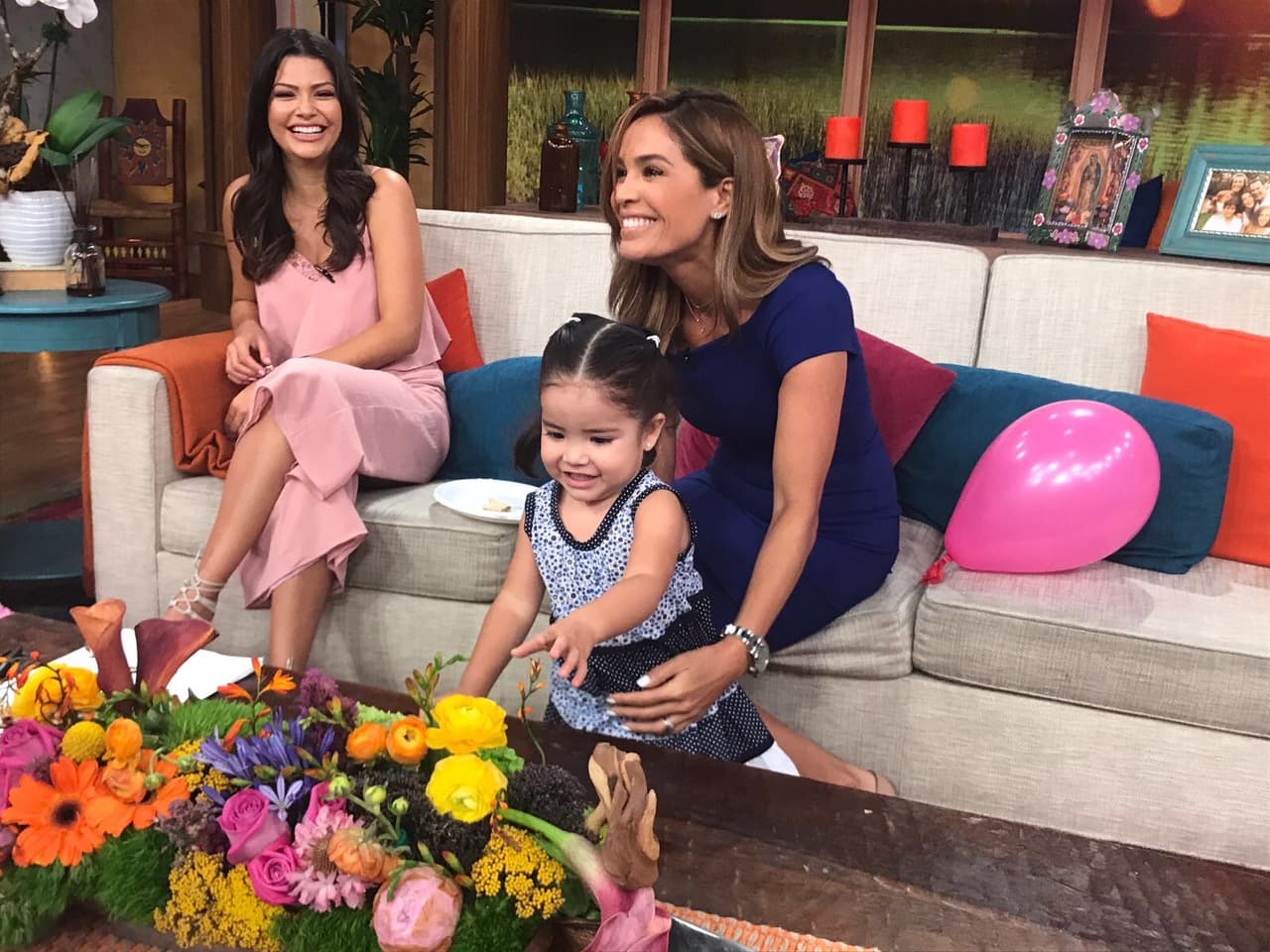 En esta casa siempre hay algo divertido con que jugar y Giulietta lo sabe.