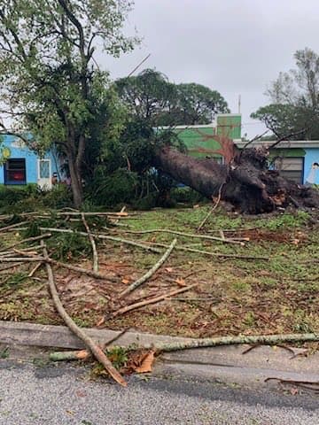 Afortunadamente no había nadie en la parte donde impactó el árbol.
<br>
