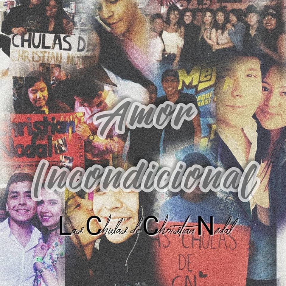 Con este tipo de mantas y detalles reciben al cantante en cada uno de sus shows, lo mismo que en sus redes sociales, las cuales están inundadas de collages y emotivas dedicatorias.