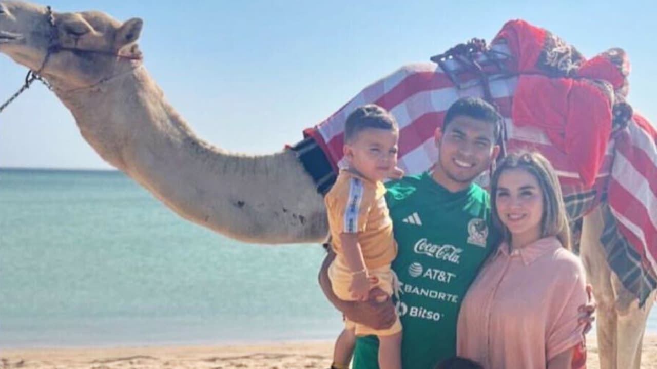 Un dromedario visita la concentración del Tri