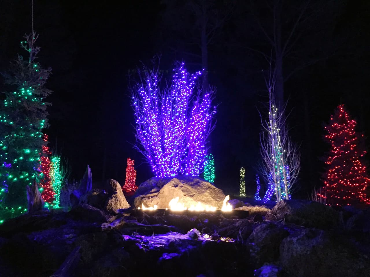 <b><a href="http://northpoleexperience.com/">La experiencia al Polo Norte</a> </b>inicia en un hotel en Flagstaff donde las familias se reunen para iniciar una hora y media de aventura.