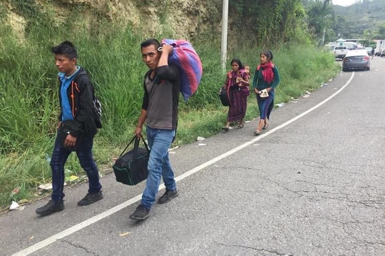 Migración a contravía: decenas de miles de guatemaltecos viajan a Honduras para trabajar en la agricultura