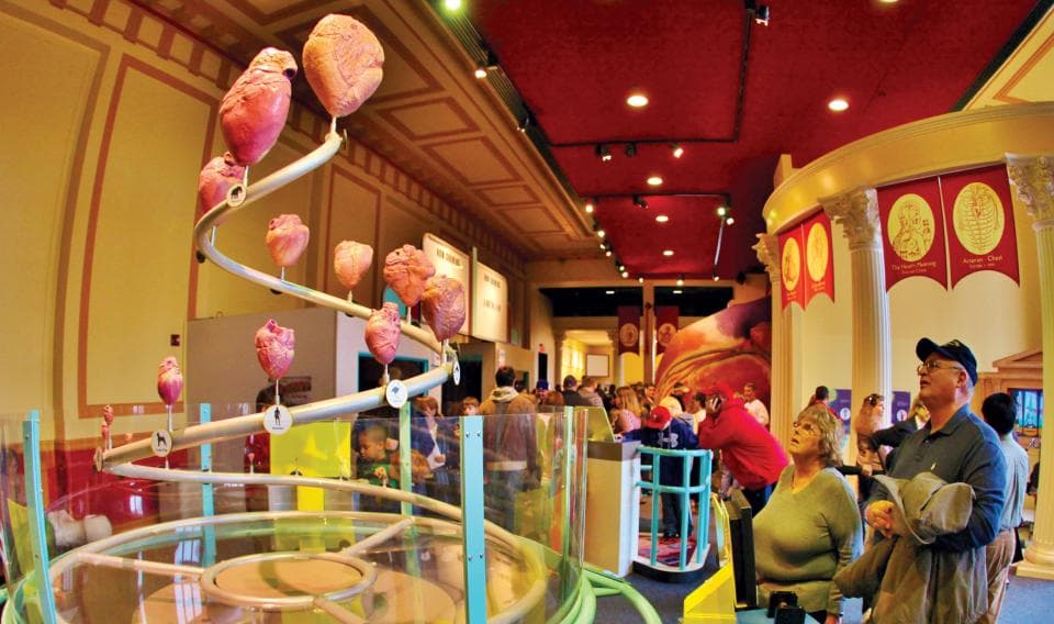 <b><a href="https://www.fi.edu/" target="_blank">The Franklin Institute</a></b>: El enorme museo interactivo de ciencias abre sus puertas de forma gratuita en las Noches de la comunidad que se llevan a cabo los lunes seleccionados de 5 pm a 8 pm. Los niños pueden ver de primera mano el funcionamiento interno de todo, desde el cuerpo humano hasta el clima.