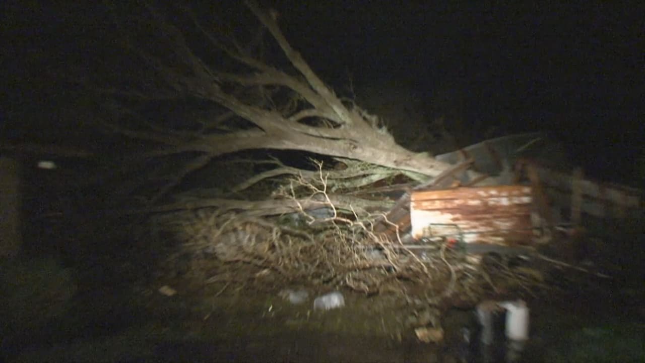 La fuerza de los vientos, de entre 80 y 100 millas por hora, derribó árboles y causó daños a viviendas.