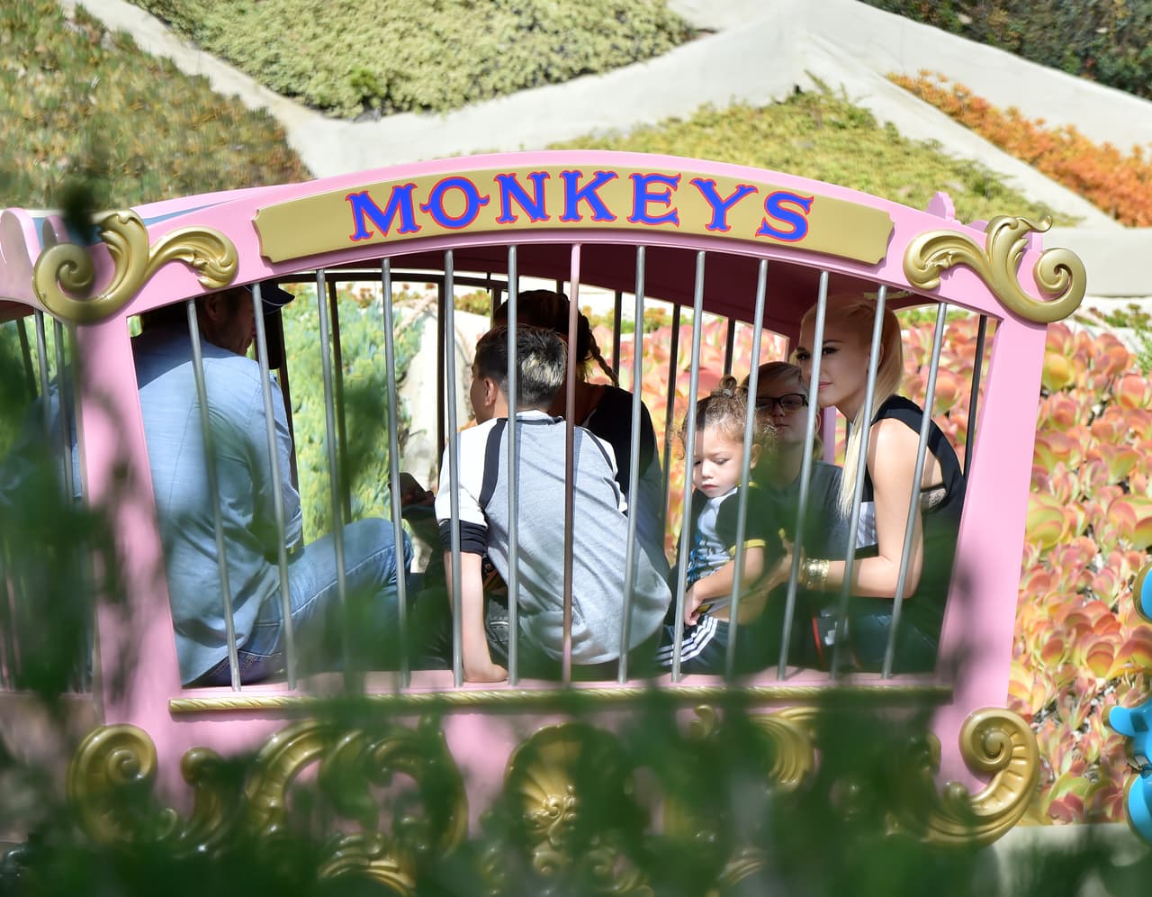 En la "jaula" de los monitos.