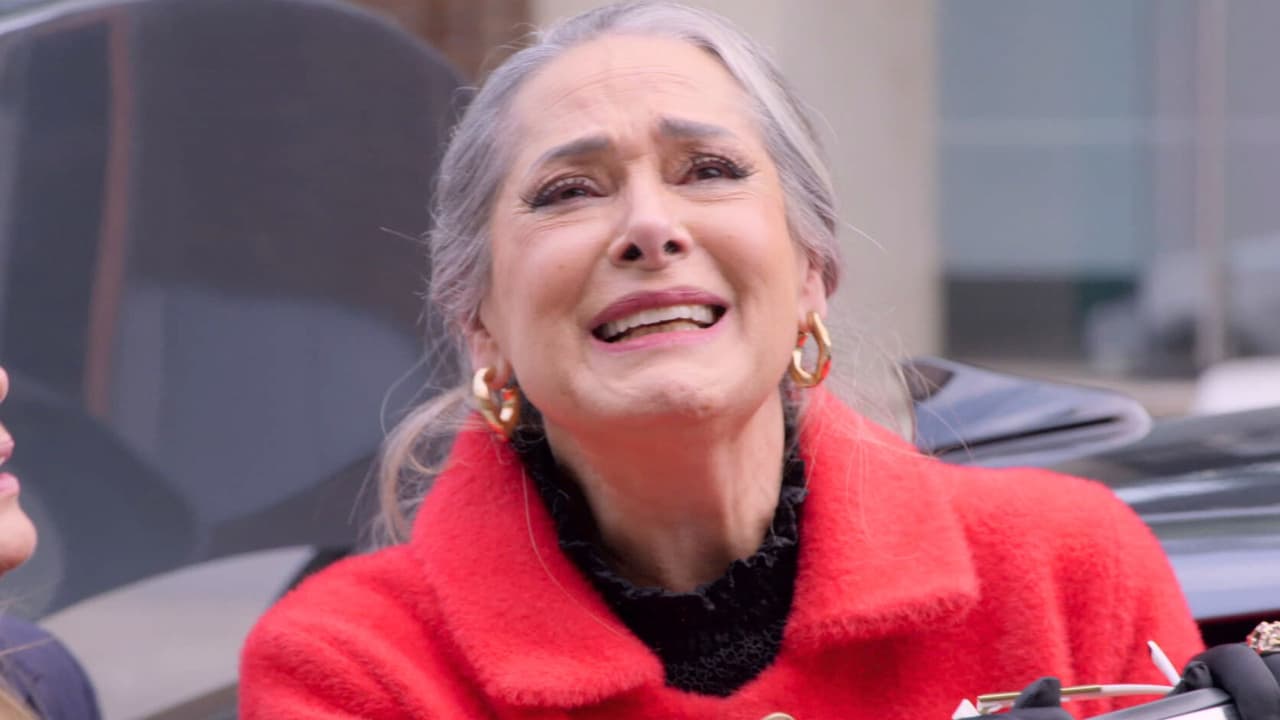 Resumen de La Rosa de Guadalupe capítulo 'Milagro de Navidad'