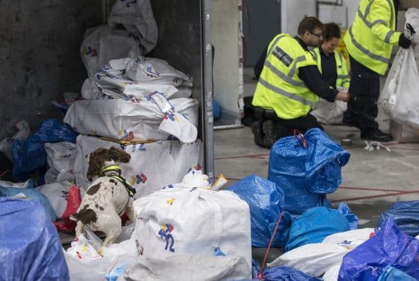 Algunos perros de seguridad en el Reino Unido, han encontrado droga ilegal en el aeropuerto.