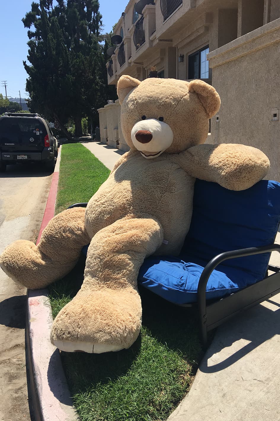Iba manejando por las calles de Toluca Lake, en Los Angeles, cuando vieron este gigantesco osito de peluche de ocho pies de altura.