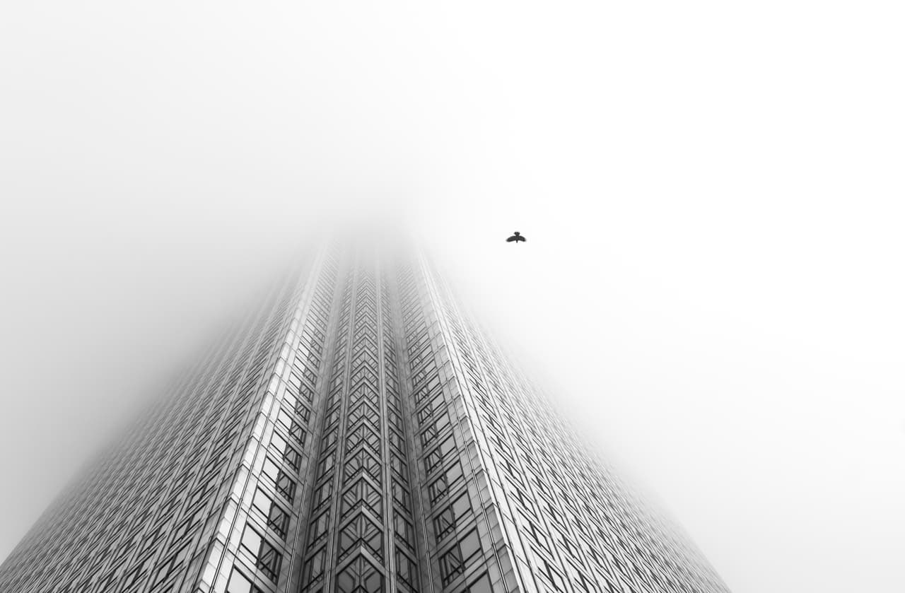 ‘Pájaro libre’, fotografía tomada en Londres, Inglaterra. Ganador de la categoría ‘Naturaleza británica en blanco y negro'.