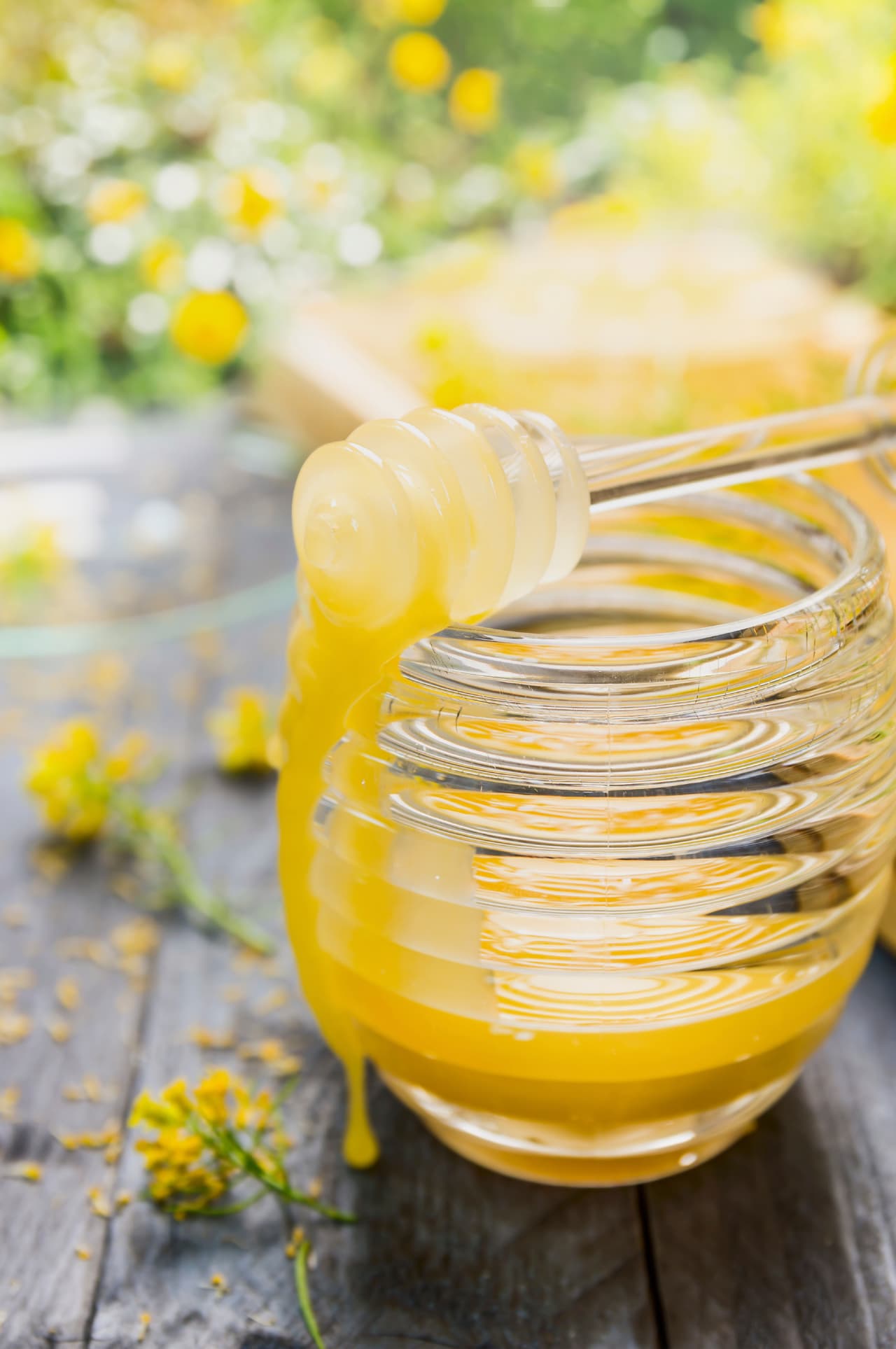 La miel producida a partir de la planta fireweed es pálida, casi banca y a menudo se le llama ‘blanca de invierno’.