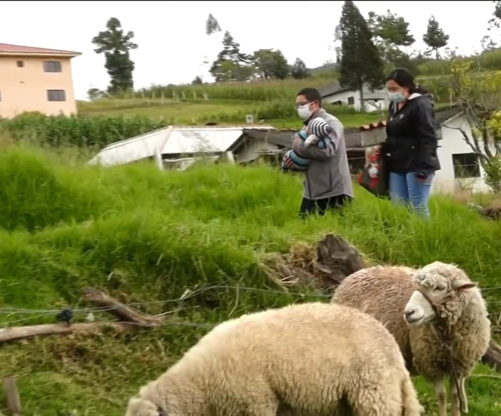 Aunque la familia ha tenido la intención de encontrar una solución definitiva lejos de suelo ecuatoriano, los altos costos de los tratamientos han terminado por desesperarlos. “En Argentina nos dieron un costo de $90,000, igual que en Colombia y en España nos dijeron $75,000”, cuenta Paltín, quien además explica que cada tratamiento dura dos años, por lo habría que mantenerse durante todo ese tiempo. 
<br>