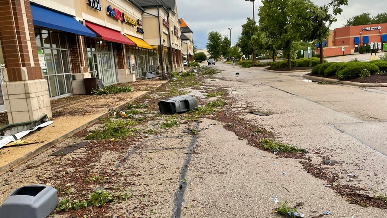 En Naperville se reportan árboles caídos y daños en algunos inmuebles.