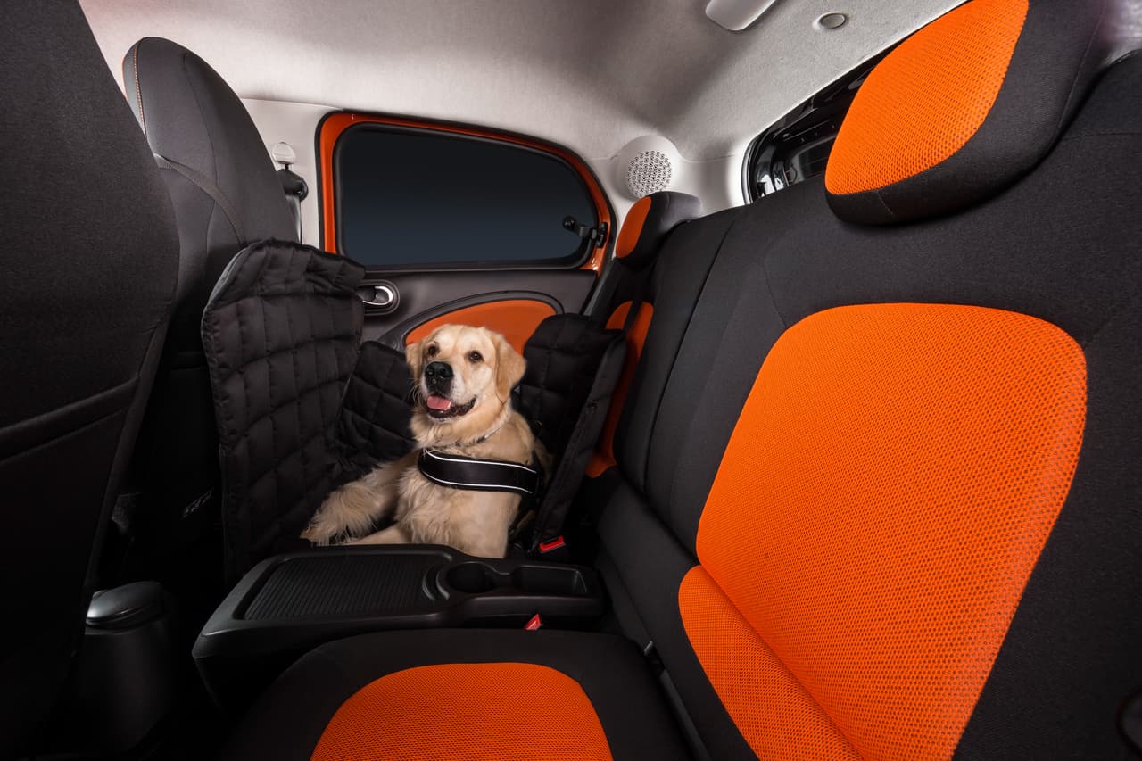 <b>Asiento posterior:</b>
<br>
<br>Si decides viajar con tu mascota bien asegurada en el asiento trasero, emplea
<b>un tapete especial </b>donde pueda recostarse. Con este reducirás el riesgo de posible daños a las vestiduras y suciedad.