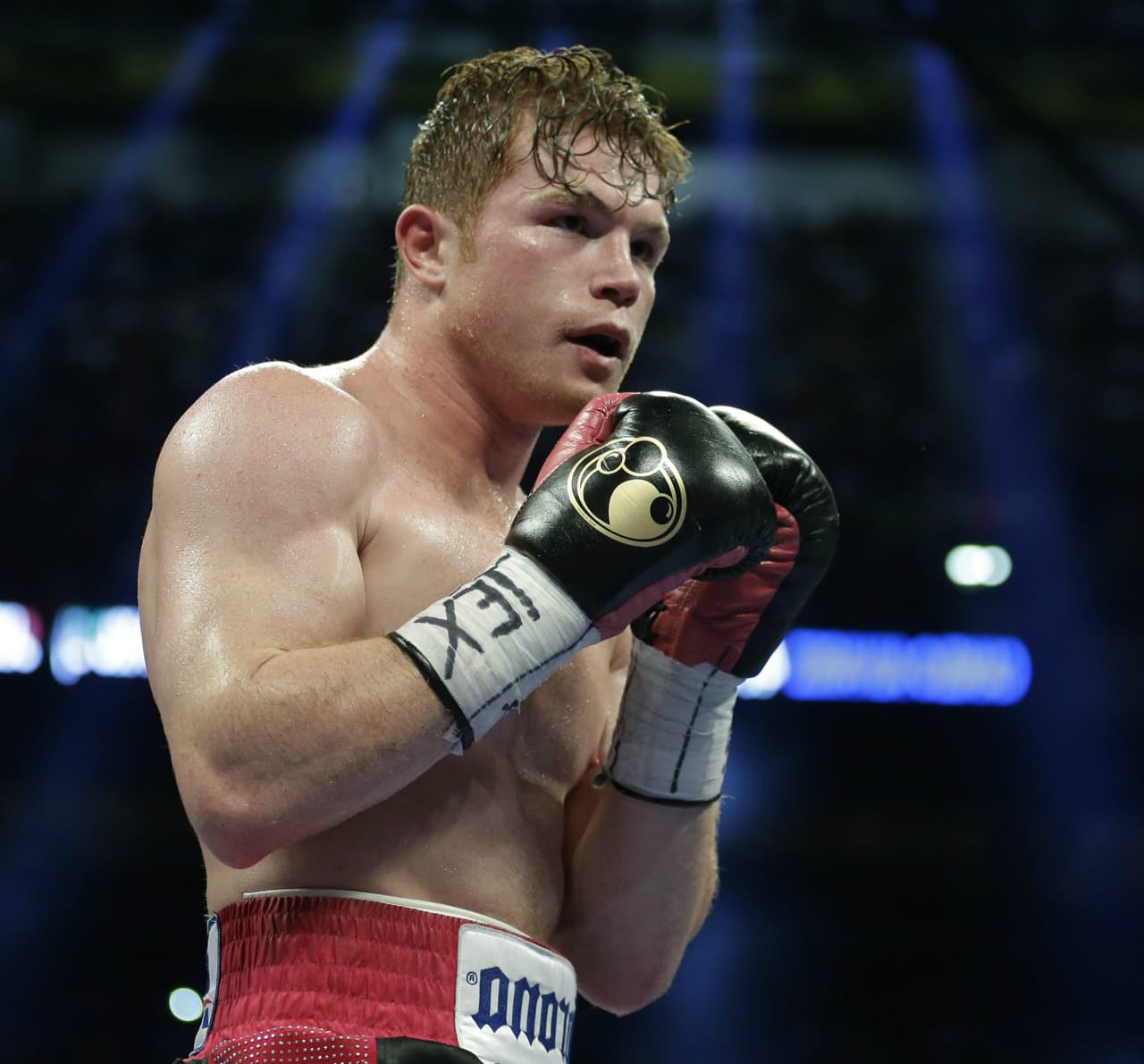 En agradecimiento, la pequeña Lupita le envió otro mensaje por su pronta y generosa respuesta.